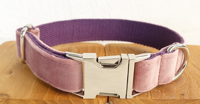 Unleash Adventure with Our Premium Dog Leash and Collar
