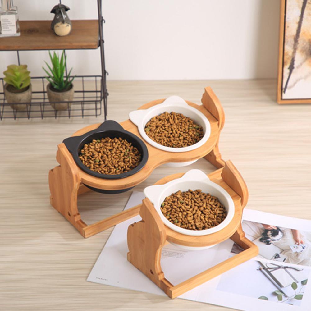 The Perfect Pet Bowl for Your Feline Friend