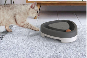 Why Your Cat Deserves the Pet Cat Self-hey Toy