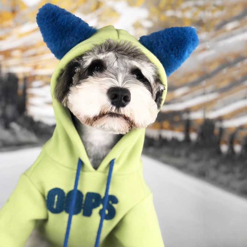 Elevate Your Cat's Style with the VIP Cat Plus Velvet Pet Sweater
