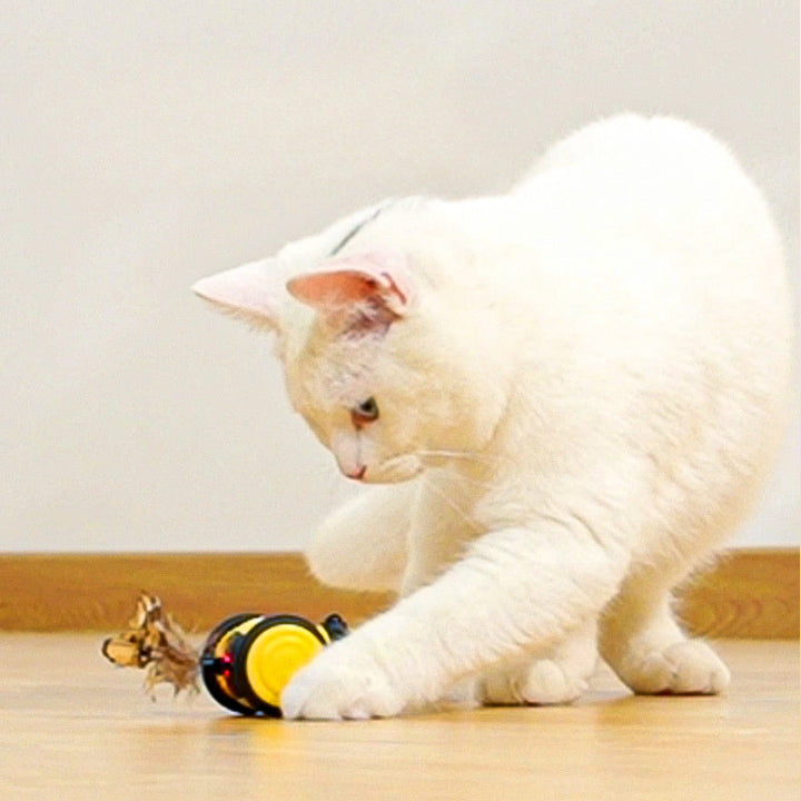 Introducing the Electric Cat Car Toy: The Ultimate Playtime Solution for Your Feline Friend