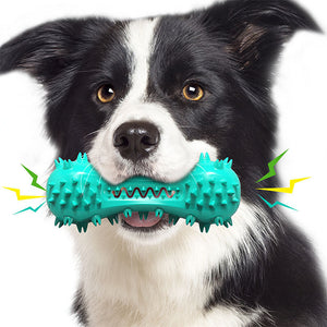 Why Your Dog Needs the Corn Molar Stick Chew Resistant Toy