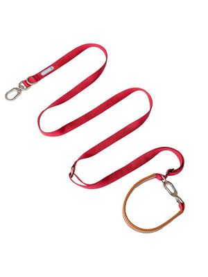 Discover the Ultimate Pet Knitted Belt Leash for Your Furry Friend