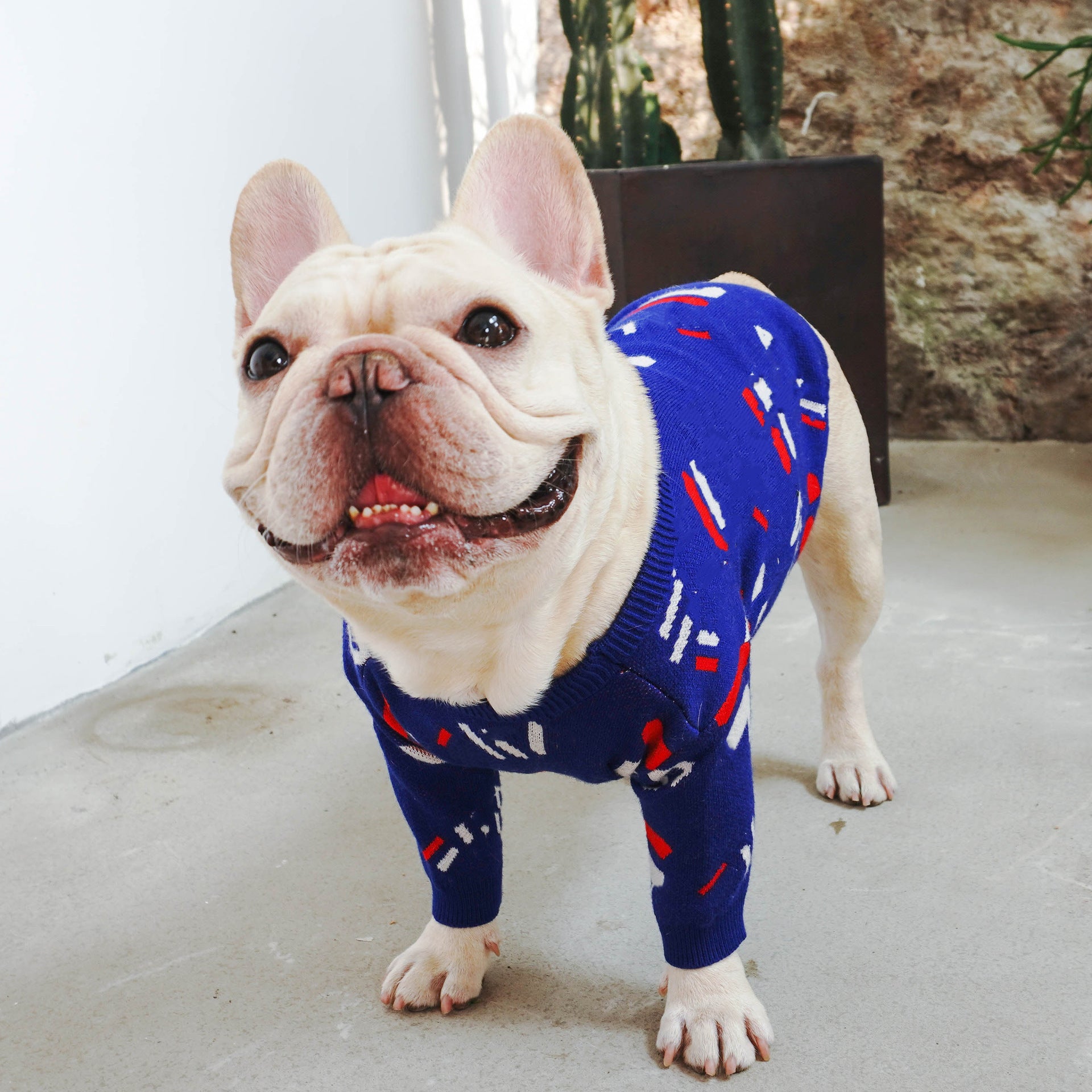Enhance Your Dog's Wardrobe with the Pug Pet Sweater