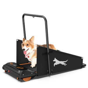Transform Your Pet's Fitness Journey with Our Dog Treadmill