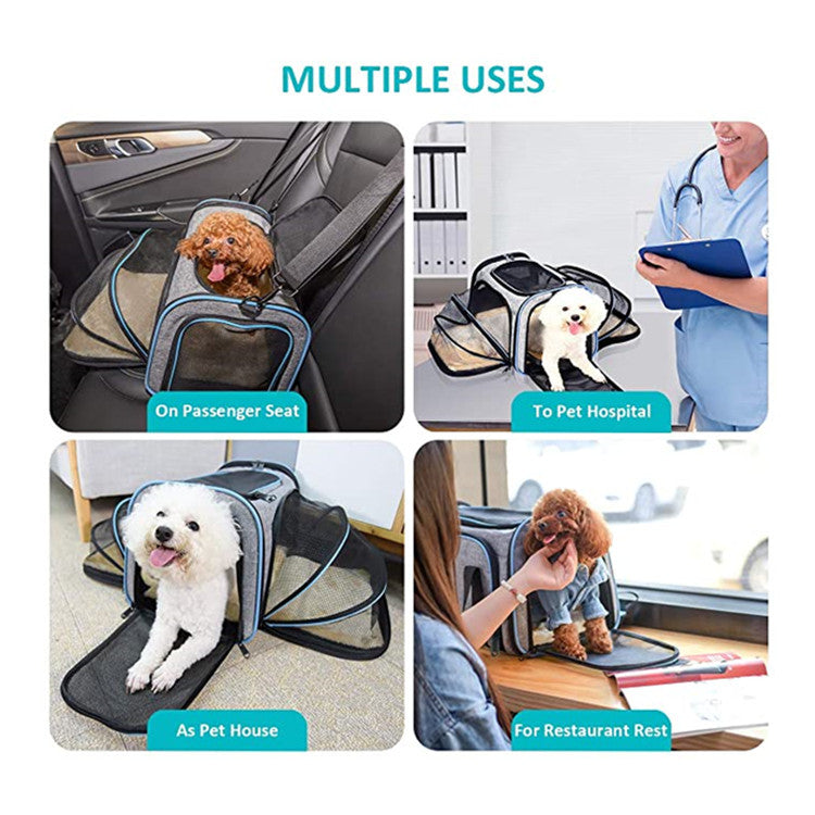 The Ultimate Travel Companion for Your Furry Friends