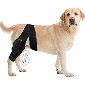The Ultimate Solution for Dog Leg Injuries