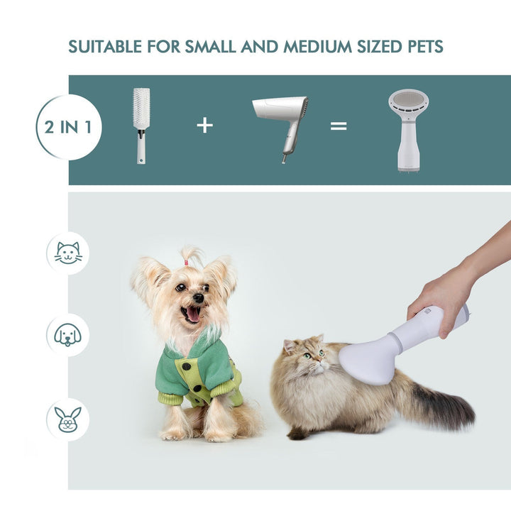 Transform Your Pet Grooming Routine with the Dadypet Pet Dog Hair Dryer Slicker Brush