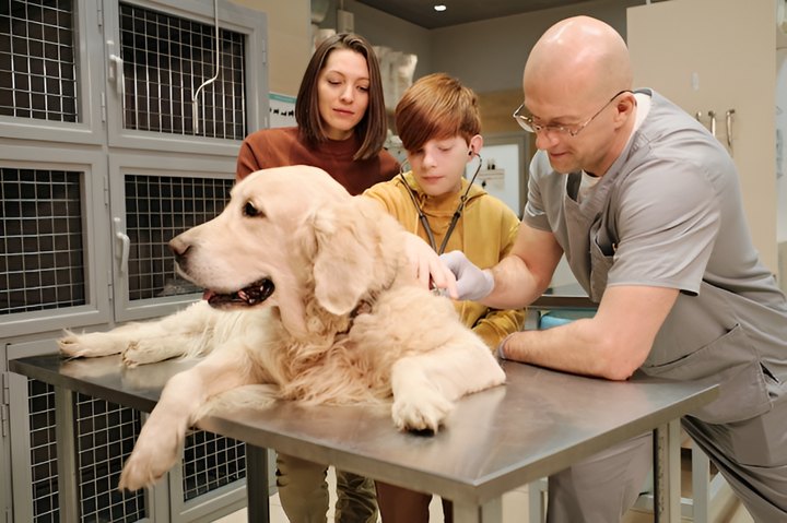 Comprehensive Care for Every Pet