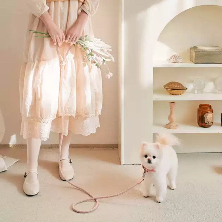 Dog Collar Leather Hand Holding Leash: The Perfect Accessory for Your Furry Friend