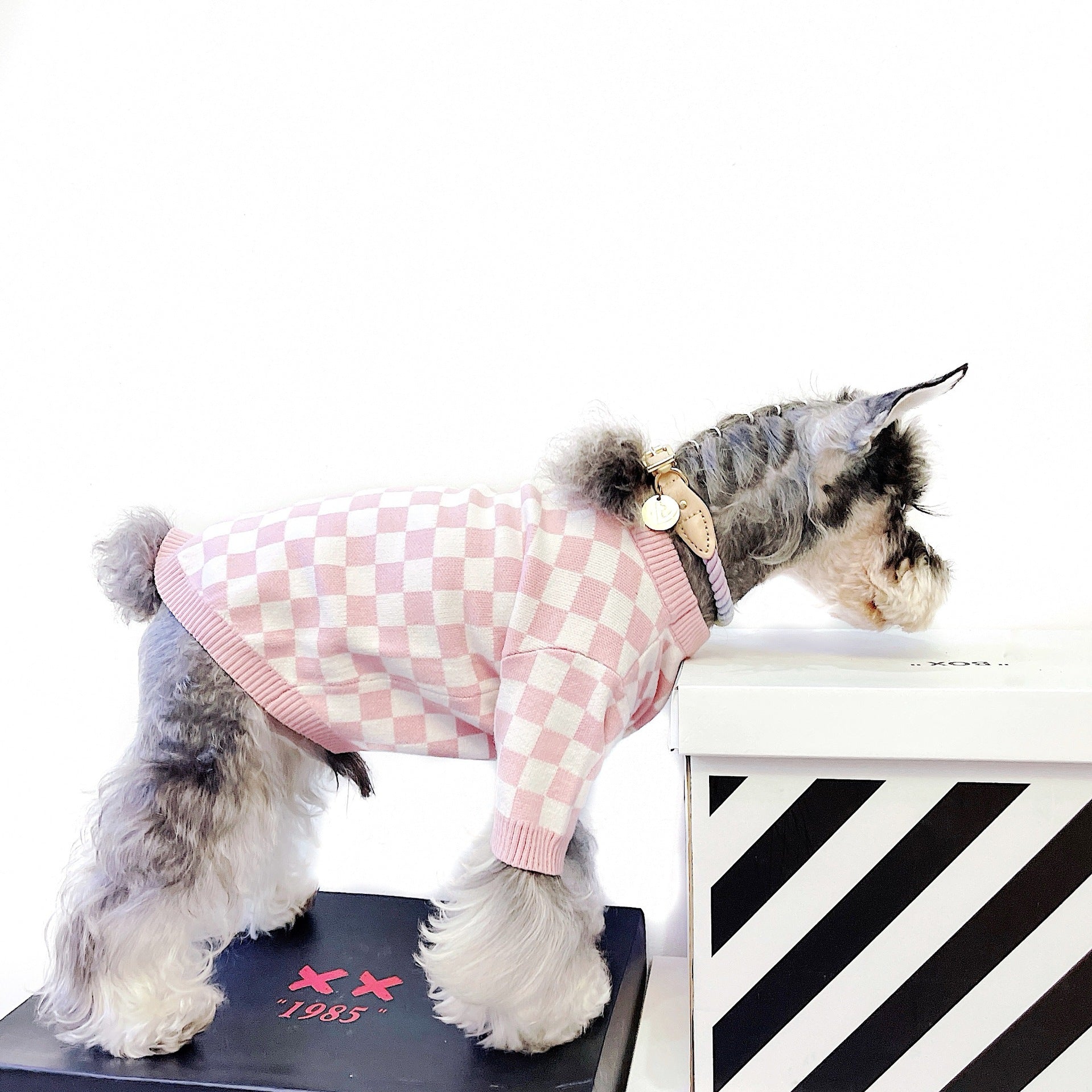Pet Girlish Checkerboard Sweater