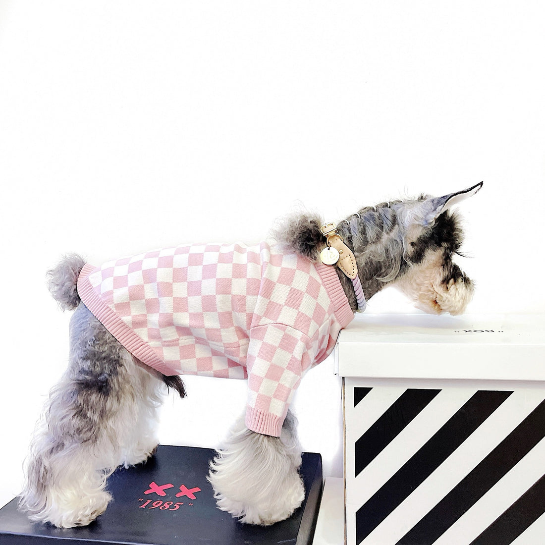 Pet Girlish Checkerboard Sweater