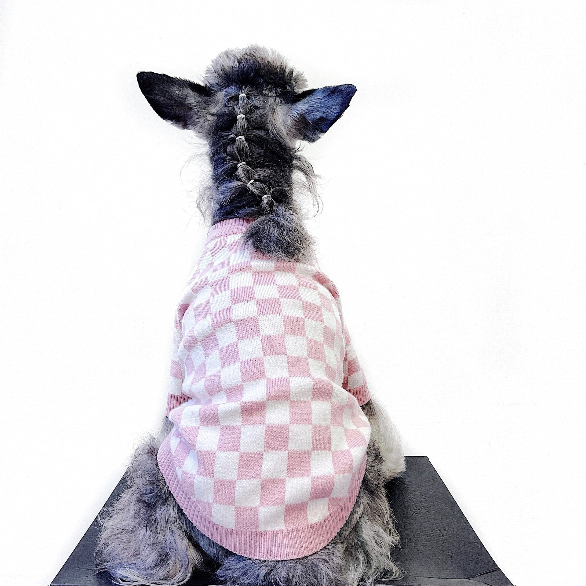 Pet Girlish Checkerboard Sweater