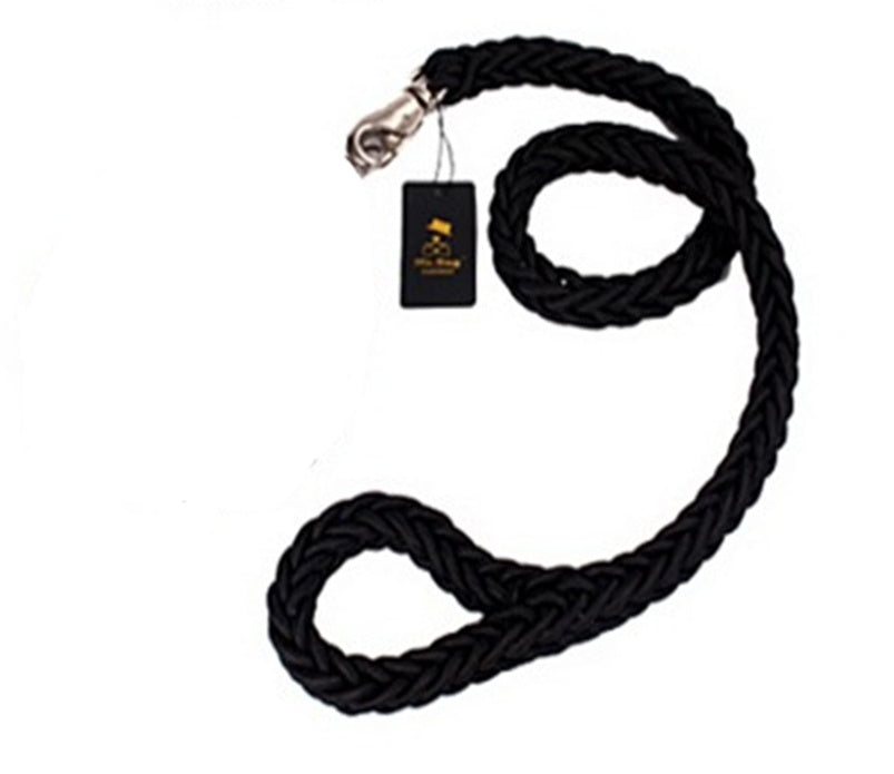 Eight-strand braided dog leash