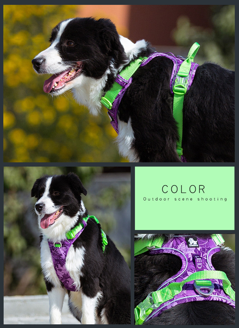 Dog leashes chain vest straps