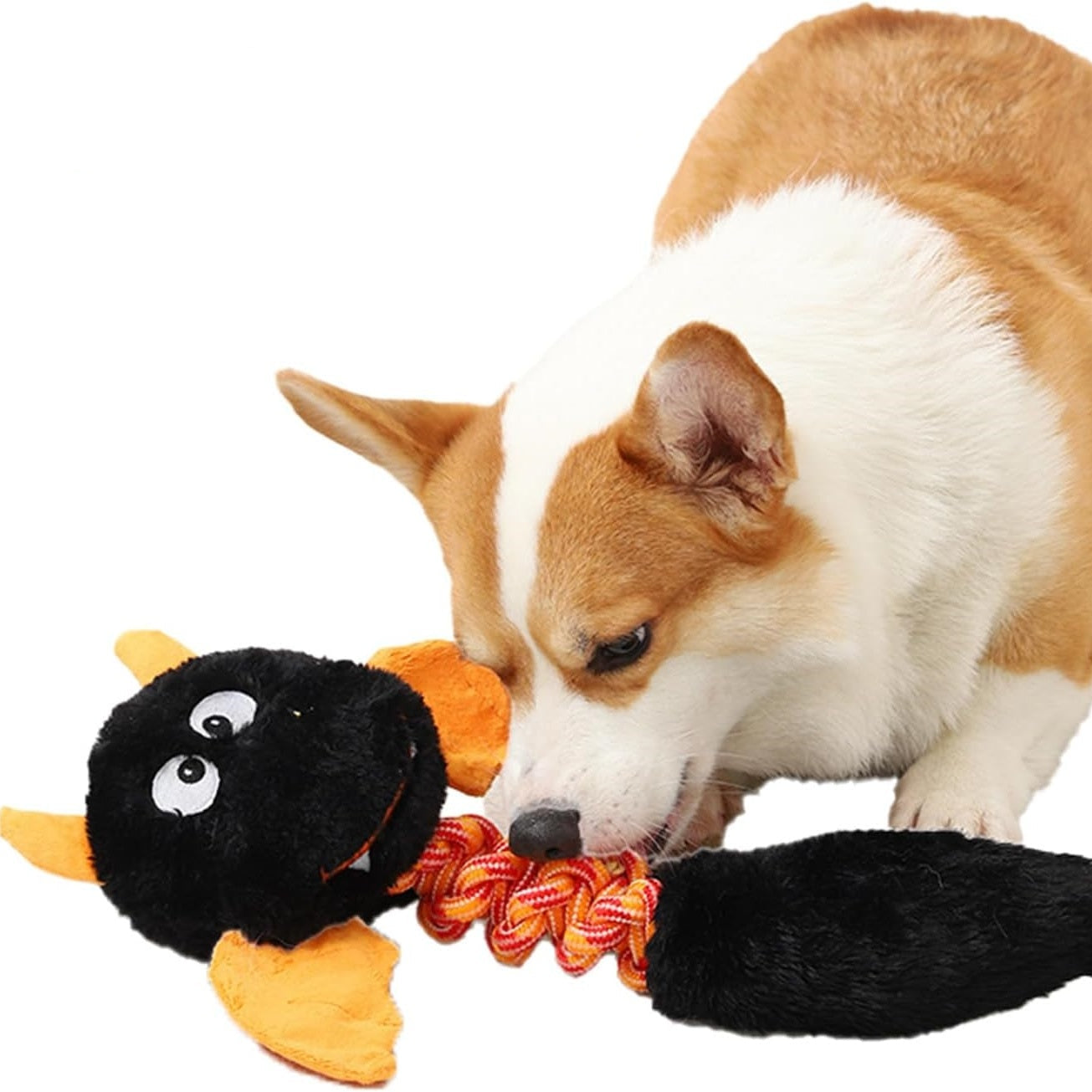 Plush Squeaky Dog Toy