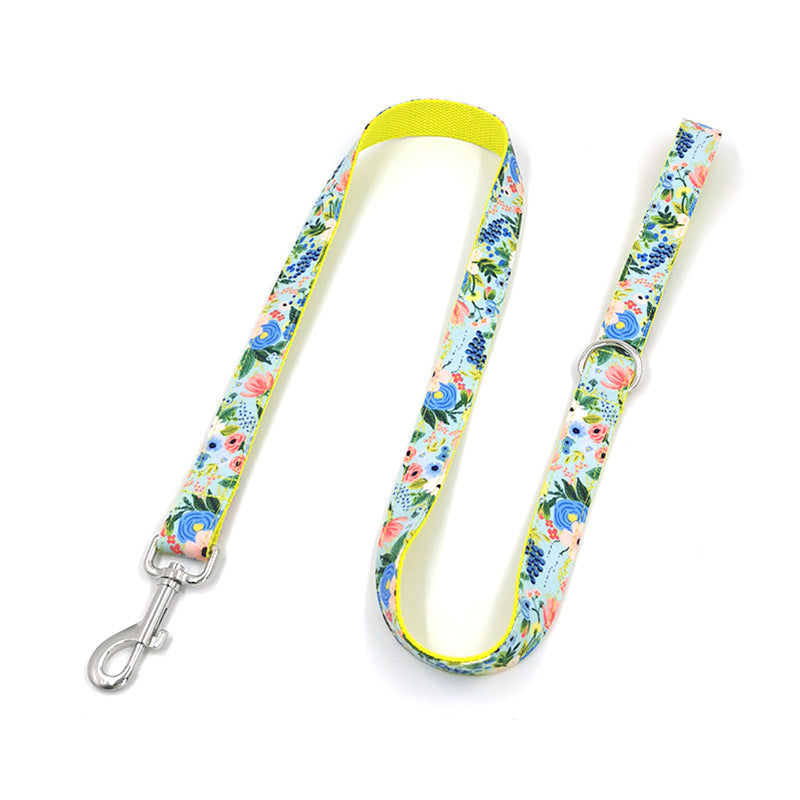 Big Dog Leash Set