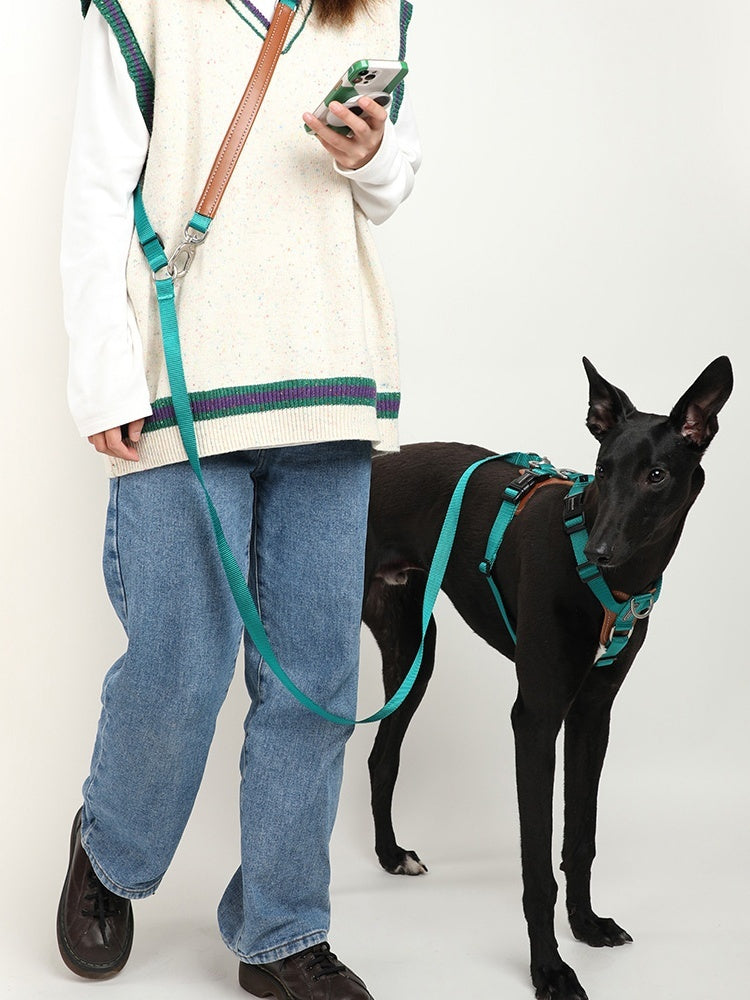 Pet Knitted Belt Leash