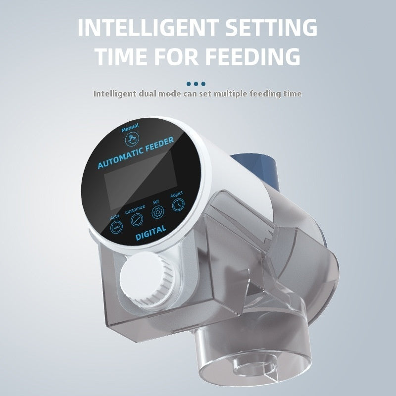 Fish Tank Timing Feeding