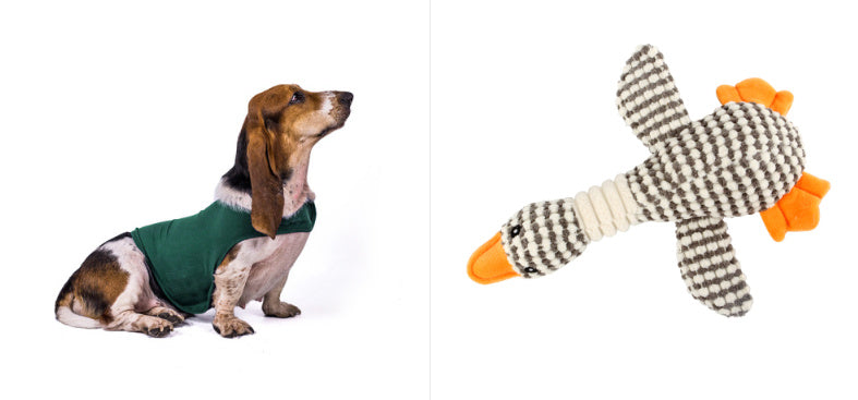 Anxiety Jacket Comfort Clothes