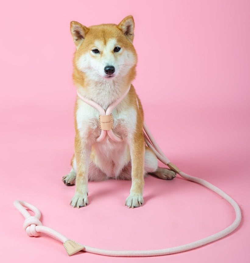 Pet Dual-purpose Integrated Dog Leash