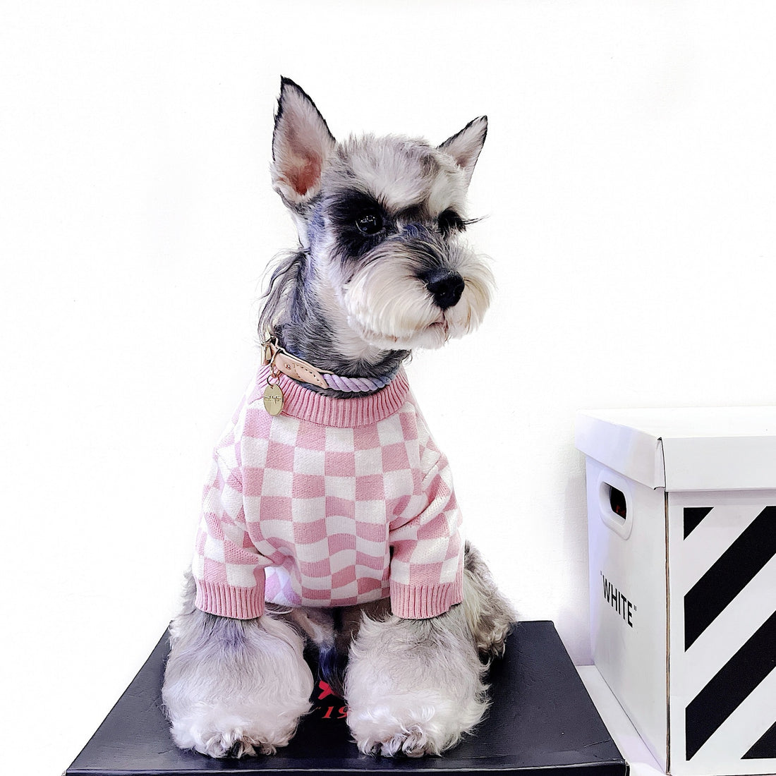 Pet Girlish Checkerboard Sweater