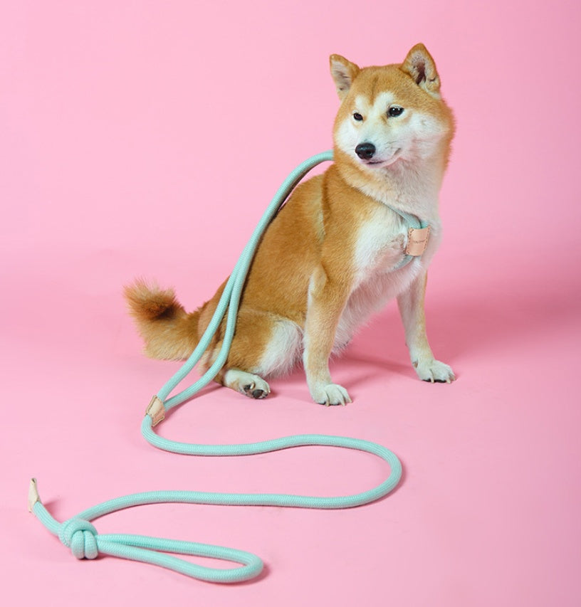 Pet Dual-purpose Integrated Dog Leash