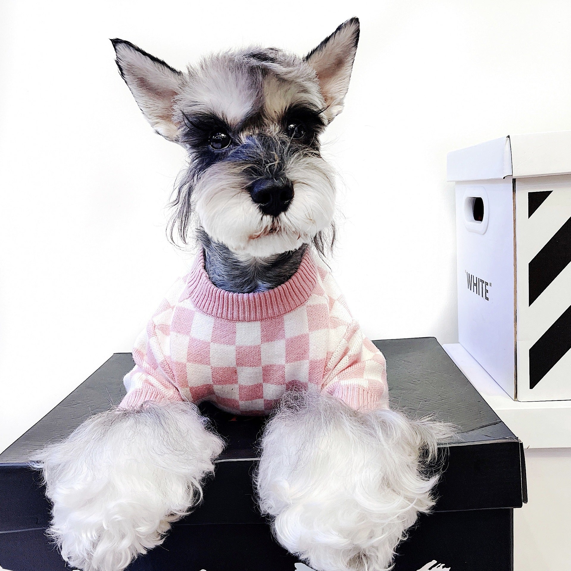 Pet Girlish Checkerboard Sweater