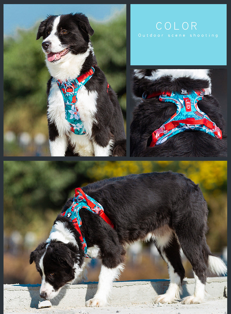 Dog leashes chain vest straps