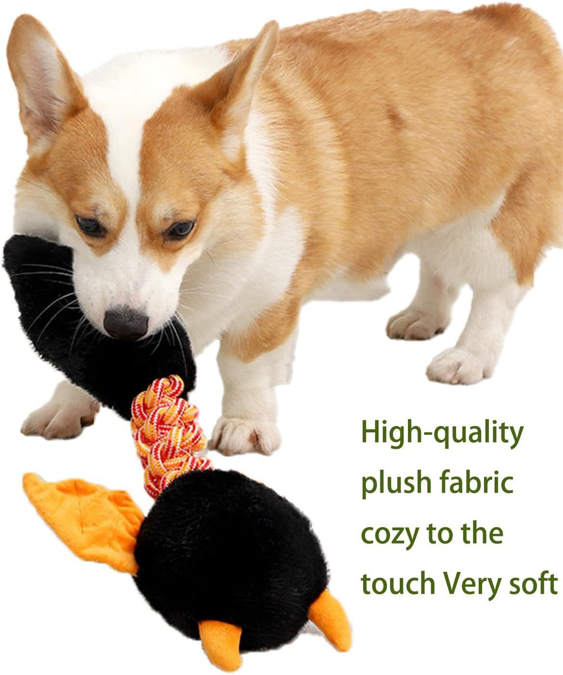Plush Squeaky Dog Toy