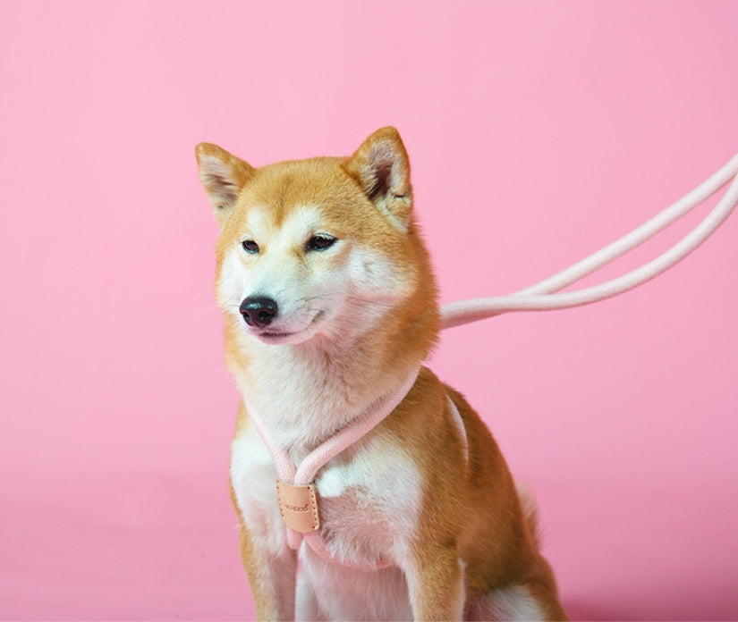 Pet Dual-purpose Integrated Dog Leash