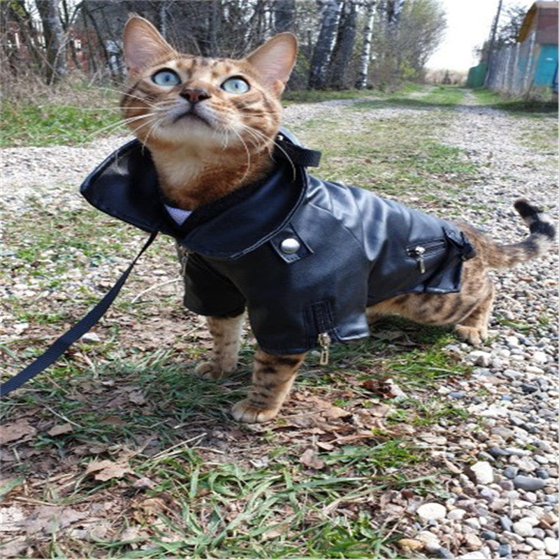 Pet Small Leather Jacket