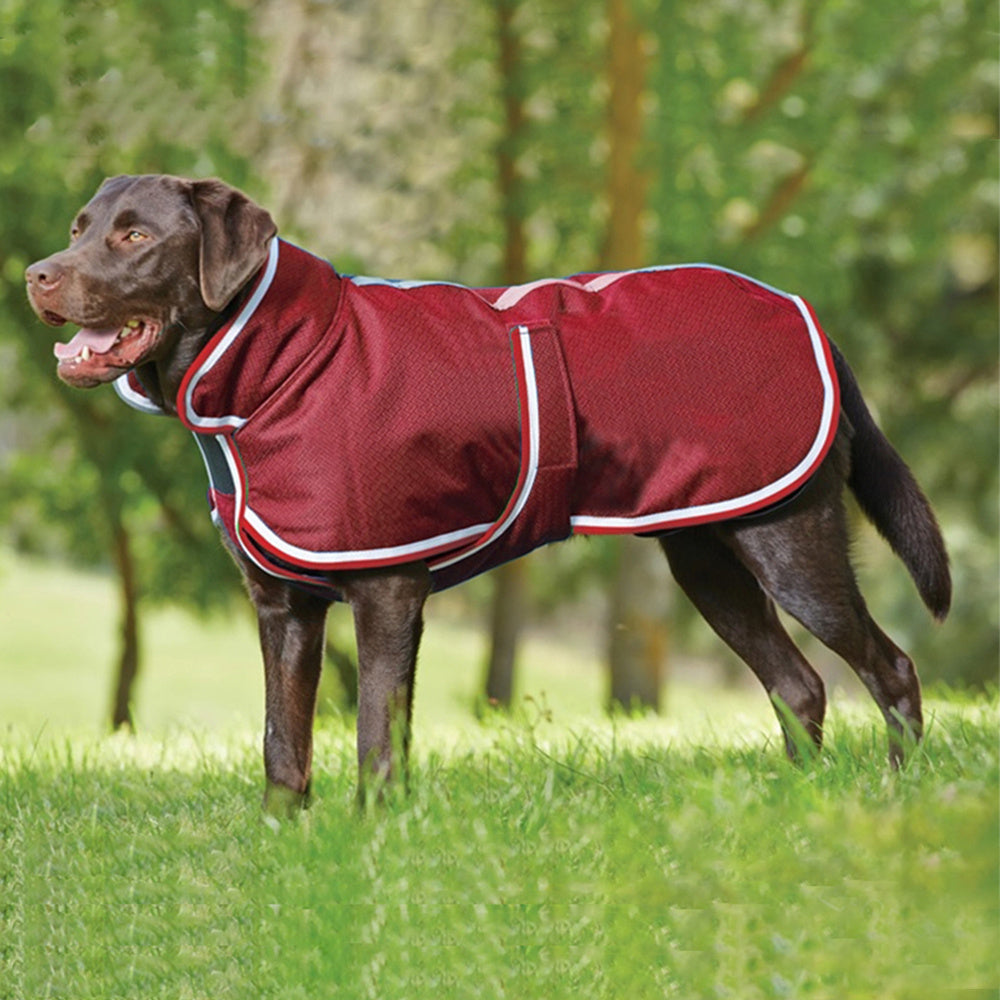 Warm Pet Leisure Waterproof Jacket