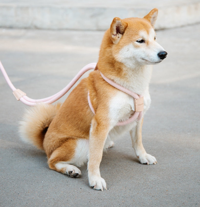 Pet Dual-purpose Integrated Dog Leash