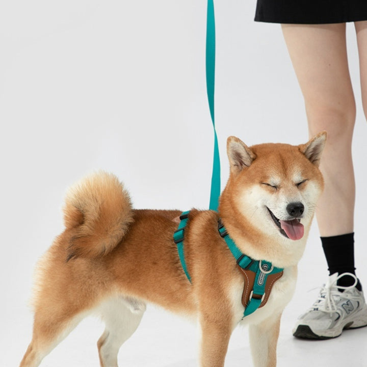 Multifunctional Explosion-proof Leash Chest Strap