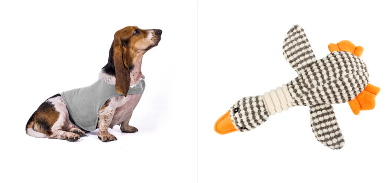 Anxiety Jacket Comfort Clothes