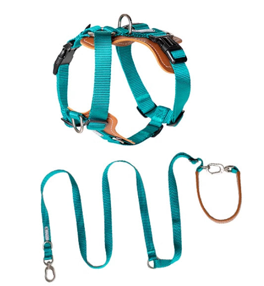 Multifunctional Explosion-proof Leash Chest Strap