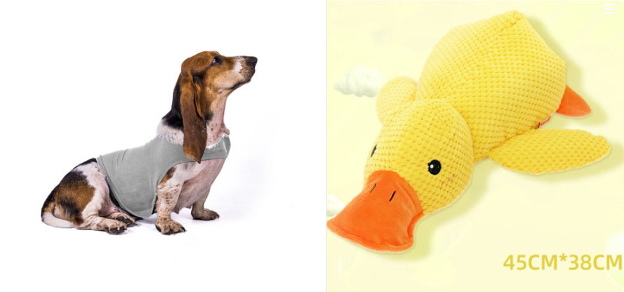 Anxiety Jacket Comfort Clothes