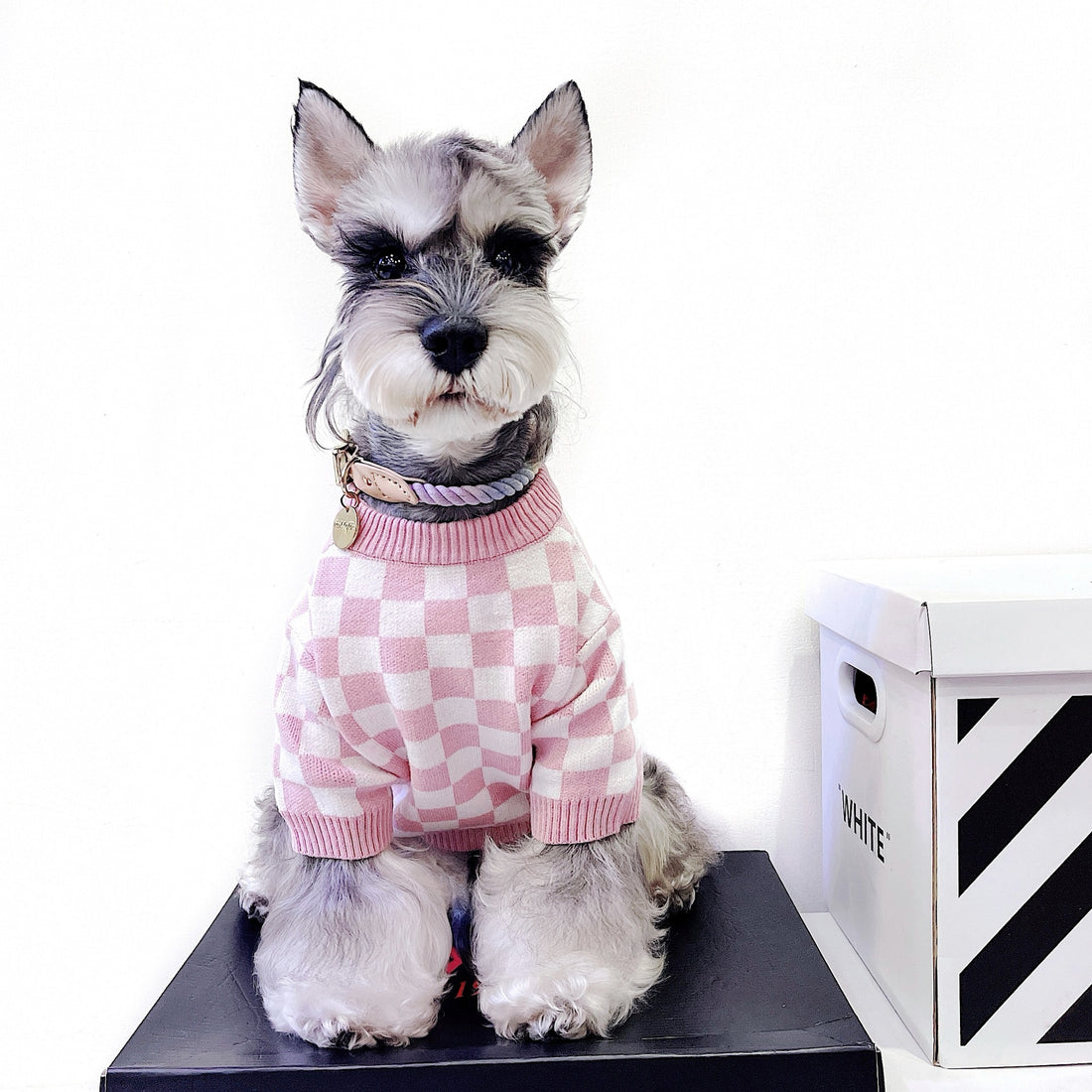 Pet Girlish Checkerboard Sweater