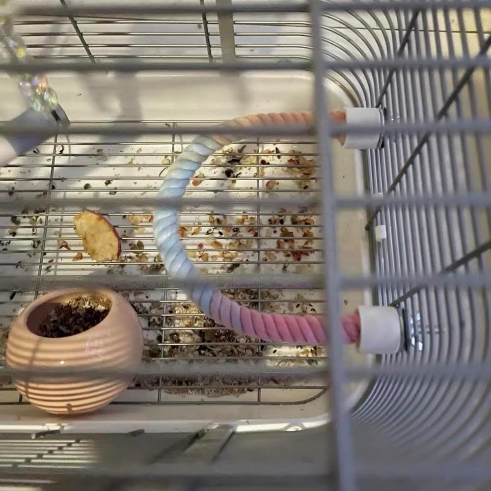 Gradient Colorful Bird Rope