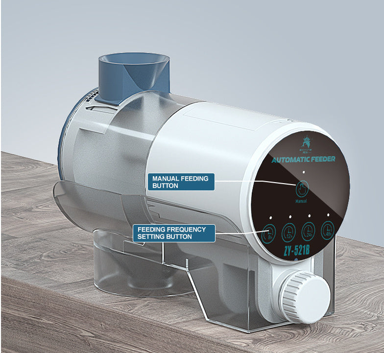 Fish Tank Timing Feeding