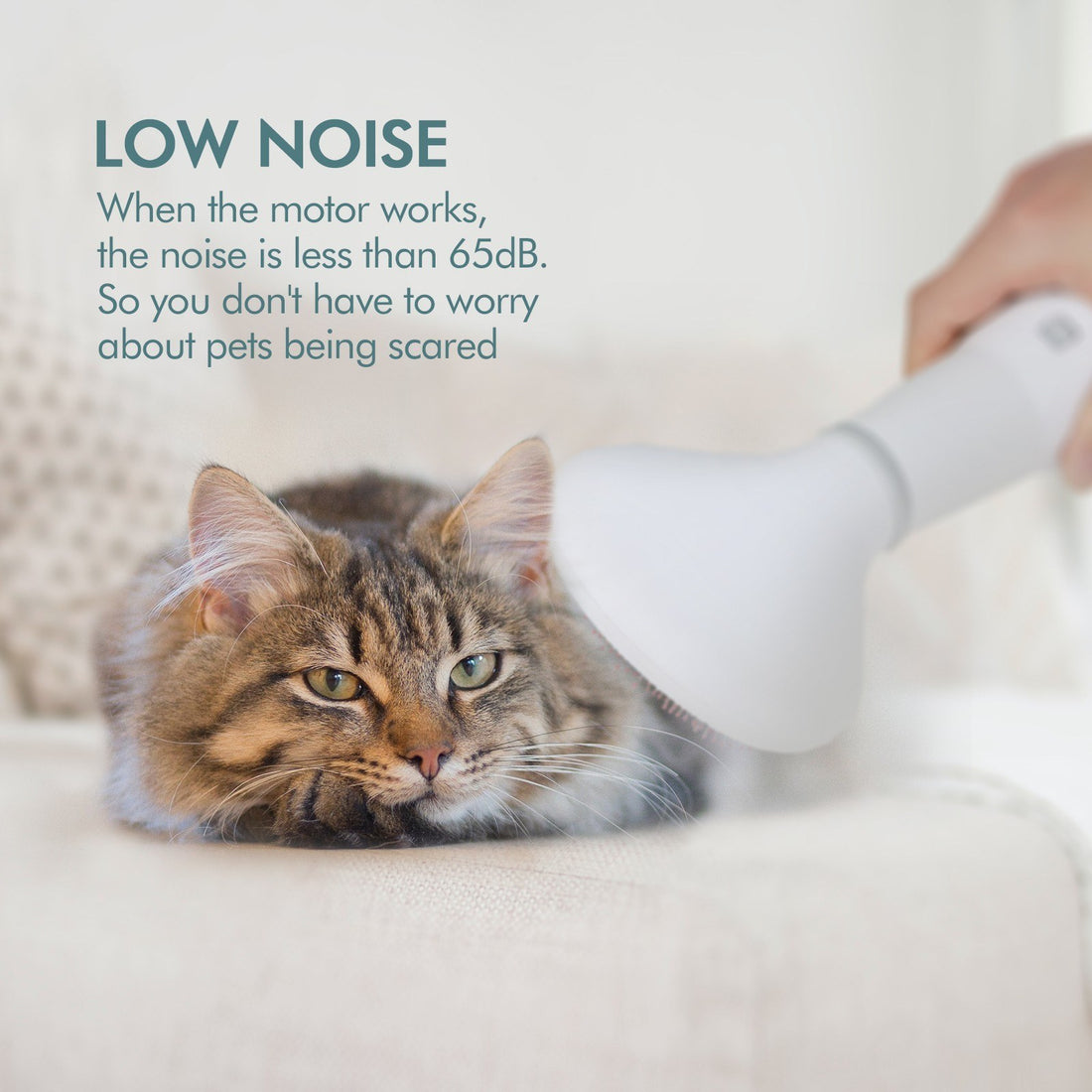 Dadypet Pet Dog Hair Dryer Slicker Brush