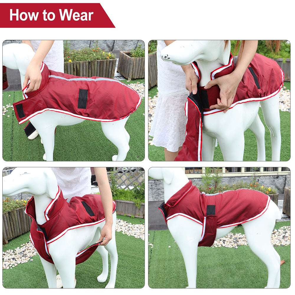 Warm Pet Leisure Waterproof Jacket