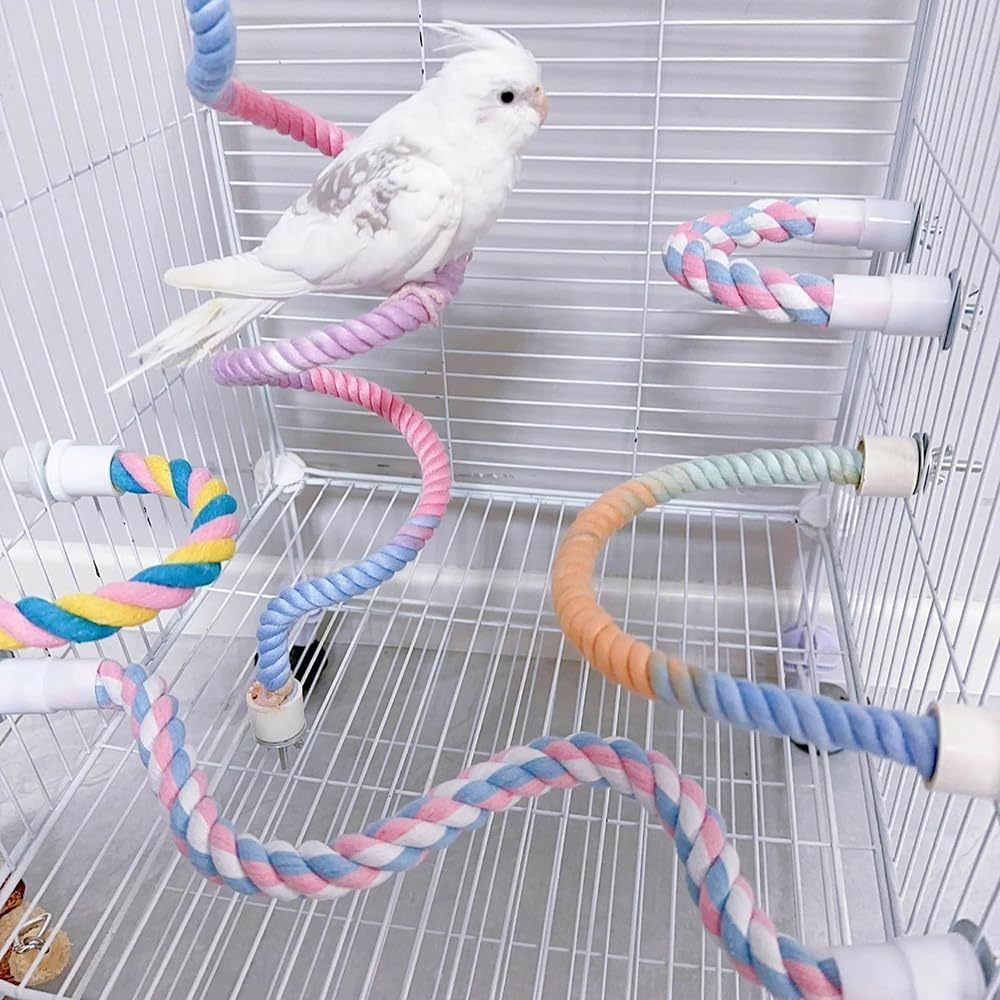 Gradient Colorful Bird Rope