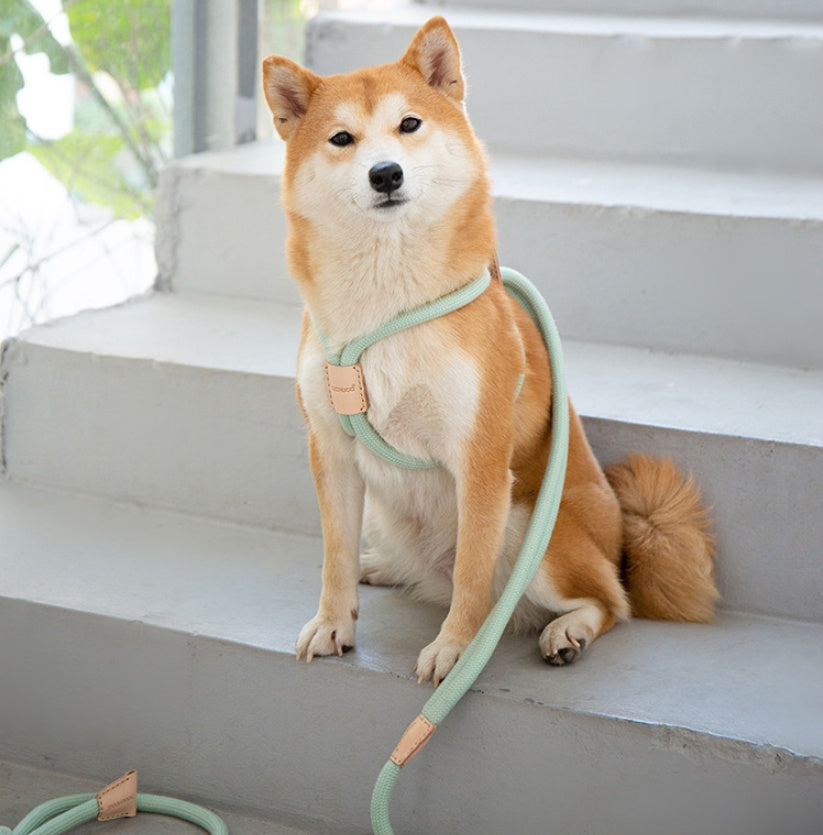 Pet Dual-purpose Integrated Dog Leash